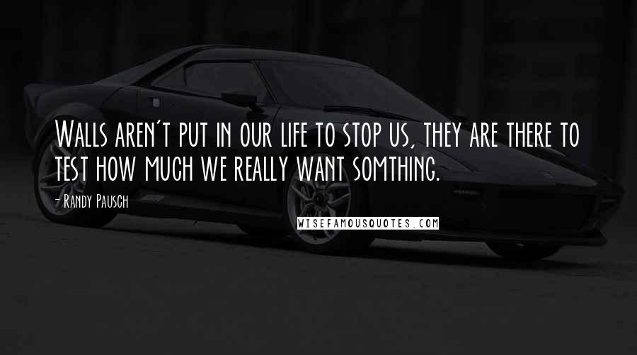 Randy Pausch Quotes: Walls aren't put in our life to stop us, they are there to test how much we really want somthing.