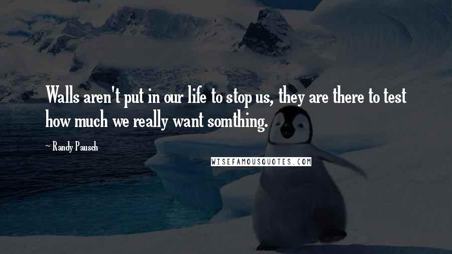 Randy Pausch Quotes: Walls aren't put in our life to stop us, they are there to test how much we really want somthing.
