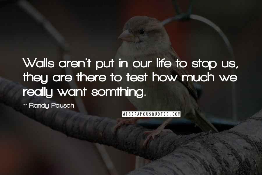 Randy Pausch Quotes: Walls aren't put in our life to stop us, they are there to test how much we really want somthing.