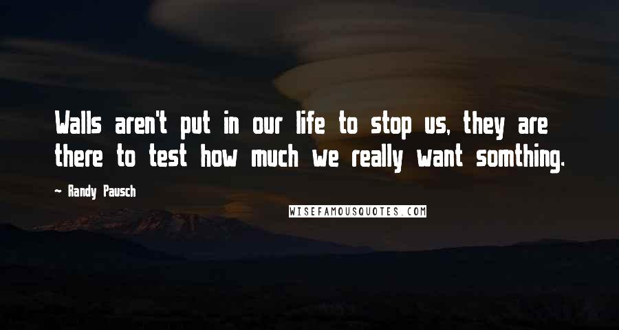 Randy Pausch Quotes: Walls aren't put in our life to stop us, they are there to test how much we really want somthing.