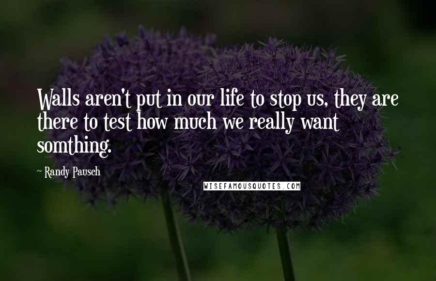 Randy Pausch Quotes: Walls aren't put in our life to stop us, they are there to test how much we really want somthing.
