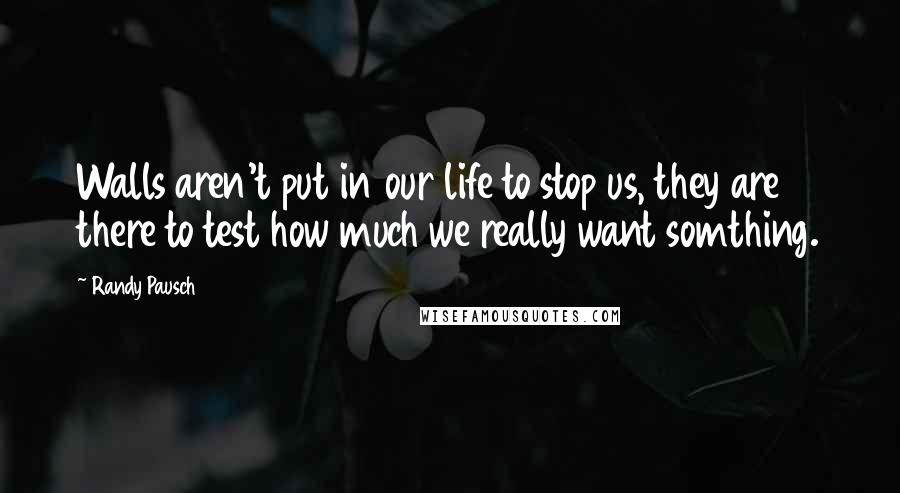 Randy Pausch Quotes: Walls aren't put in our life to stop us, they are there to test how much we really want somthing.