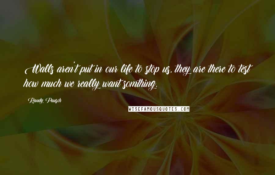 Randy Pausch Quotes: Walls aren't put in our life to stop us, they are there to test how much we really want somthing.