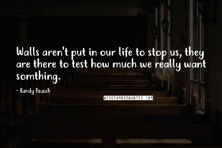 Randy Pausch Quotes: Walls aren't put in our life to stop us, they are there to test how much we really want somthing.