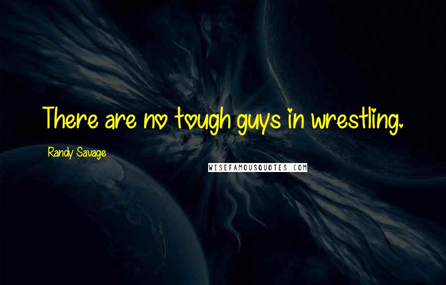 Randy Savage Quotes: There are no tough guys in wrestling.