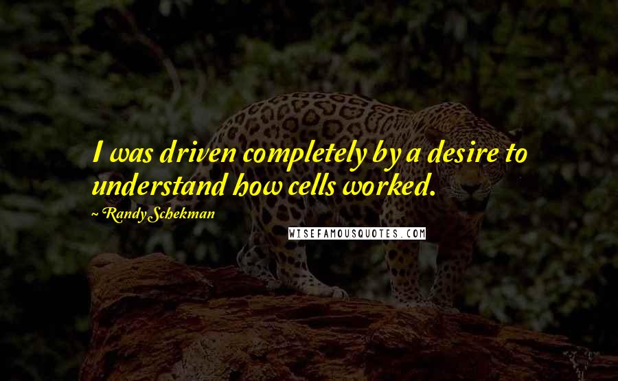 Randy Schekman Quotes: I was driven completely by a desire to understand how cells worked.