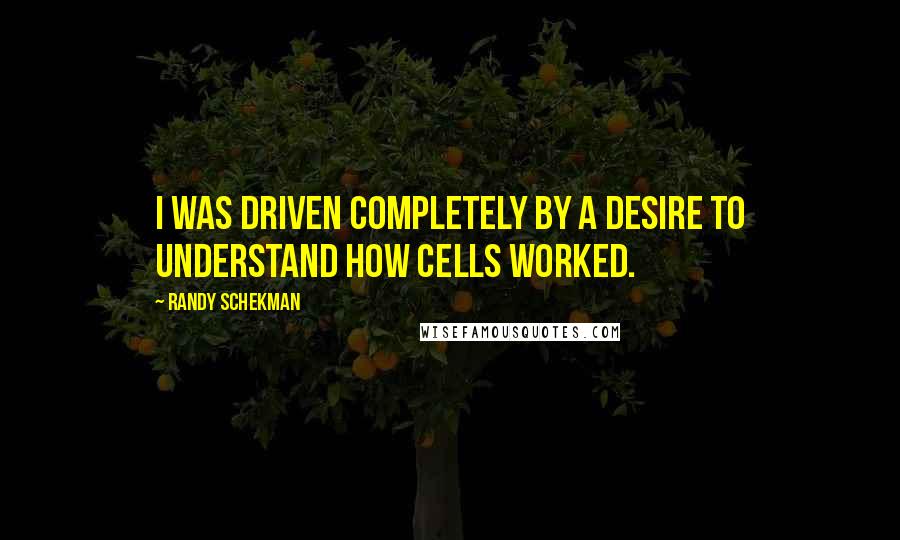 Randy Schekman Quotes: I was driven completely by a desire to understand how cells worked.