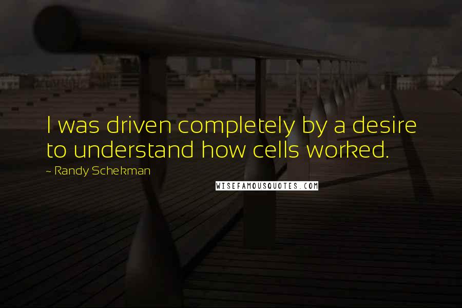 Randy Schekman Quotes: I was driven completely by a desire to understand how cells worked.