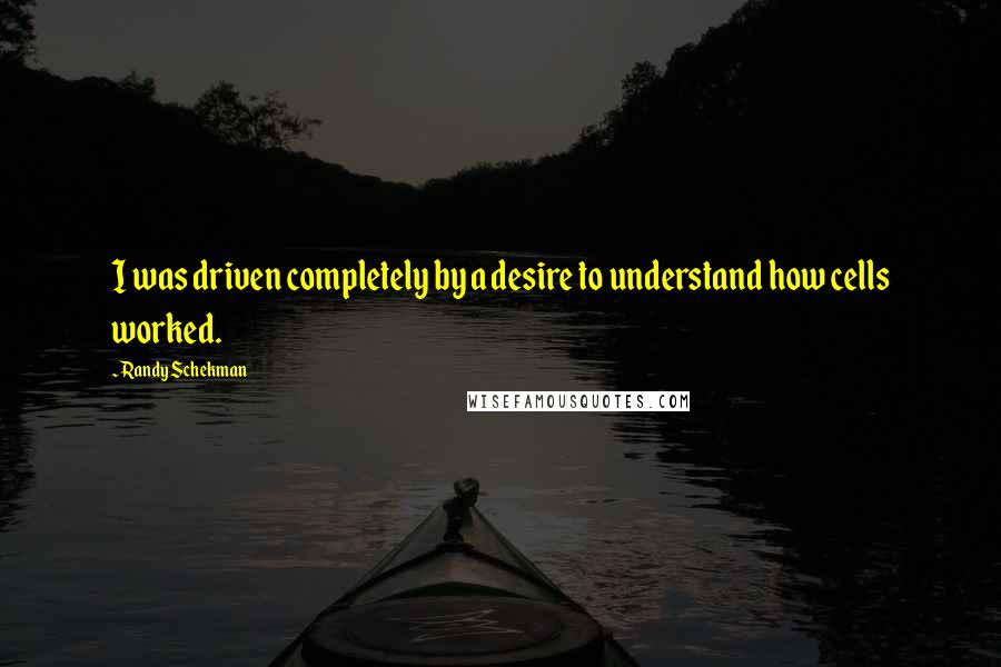Randy Schekman Quotes: I was driven completely by a desire to understand how cells worked.