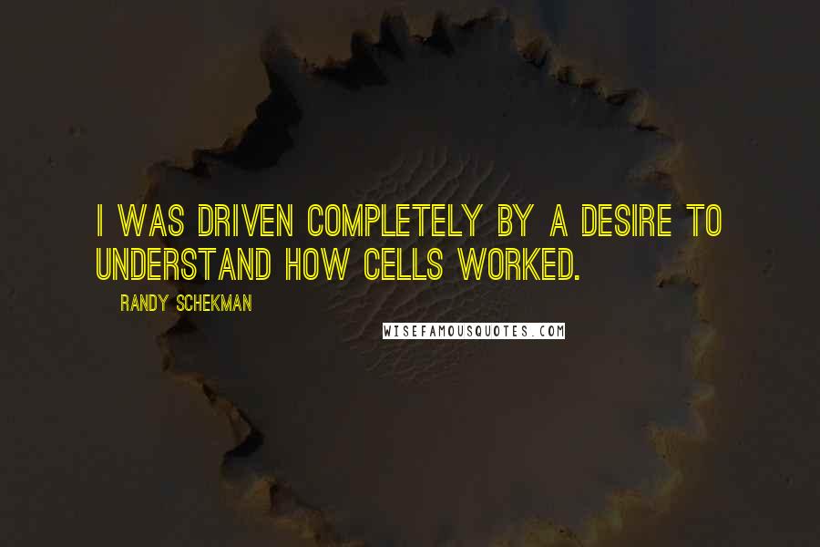 Randy Schekman Quotes: I was driven completely by a desire to understand how cells worked.