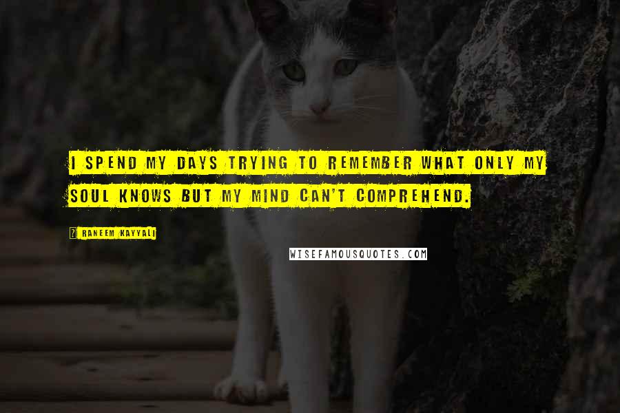 Raneem Kayyali Quotes: I spend my days trying to remember what only my soul knows but my mind can't comprehend.