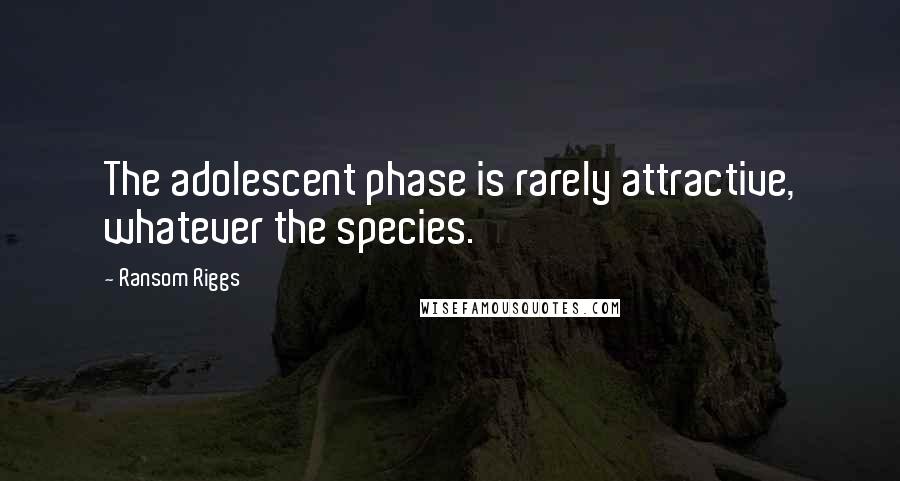 Ransom Riggs Quotes: The adolescent phase is rarely attractive, whatever the species.
