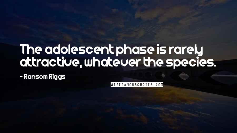 Ransom Riggs Quotes: The adolescent phase is rarely attractive, whatever the species.