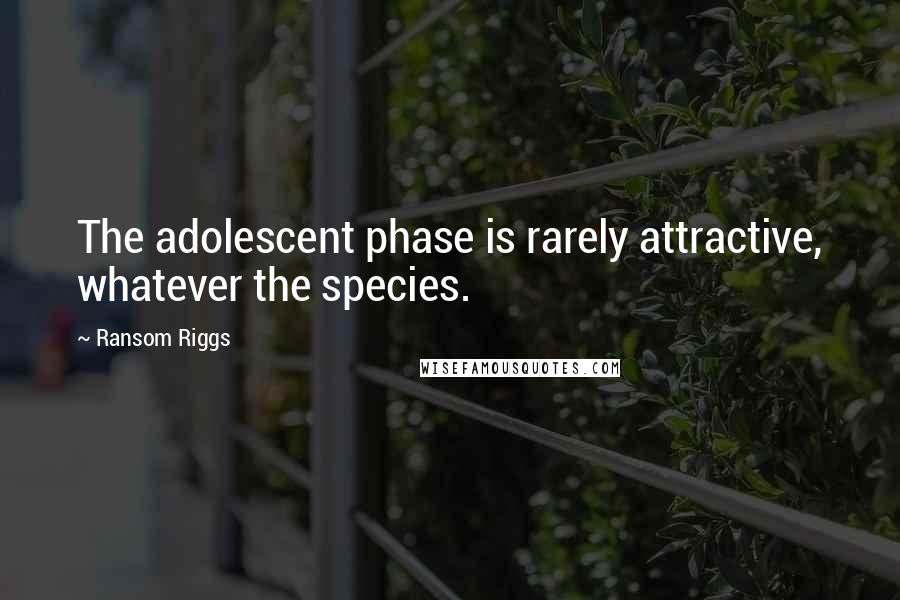 Ransom Riggs Quotes: The adolescent phase is rarely attractive, whatever the species.