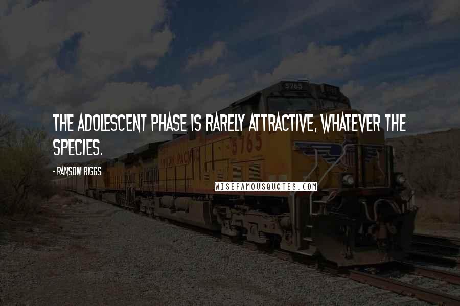Ransom Riggs Quotes: The adolescent phase is rarely attractive, whatever the species.