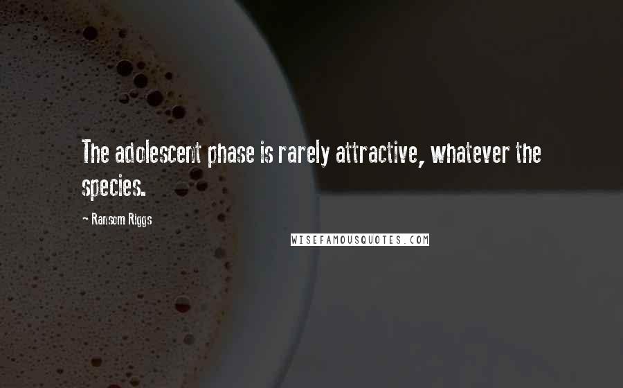 Ransom Riggs Quotes: The adolescent phase is rarely attractive, whatever the species.