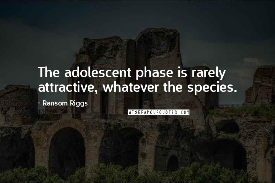 Ransom Riggs Quotes: The adolescent phase is rarely attractive, whatever the species.