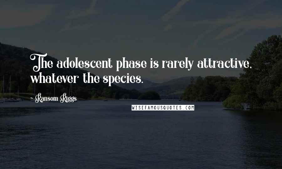 Ransom Riggs Quotes: The adolescent phase is rarely attractive, whatever the species.
