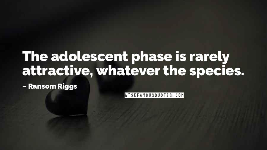 Ransom Riggs Quotes: The adolescent phase is rarely attractive, whatever the species.