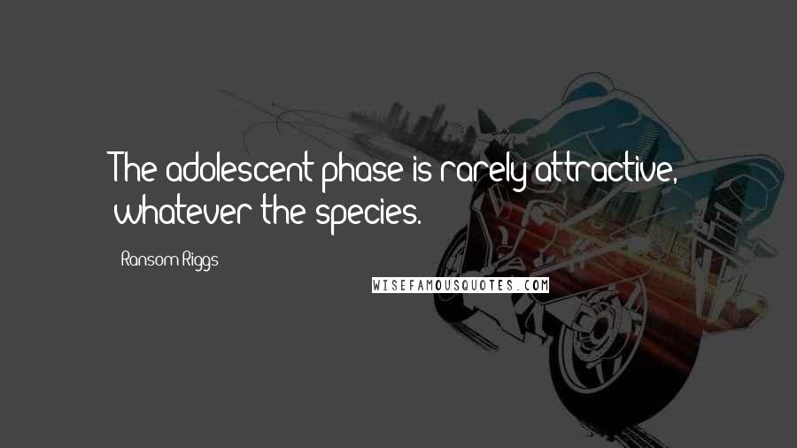 Ransom Riggs Quotes: The adolescent phase is rarely attractive, whatever the species.