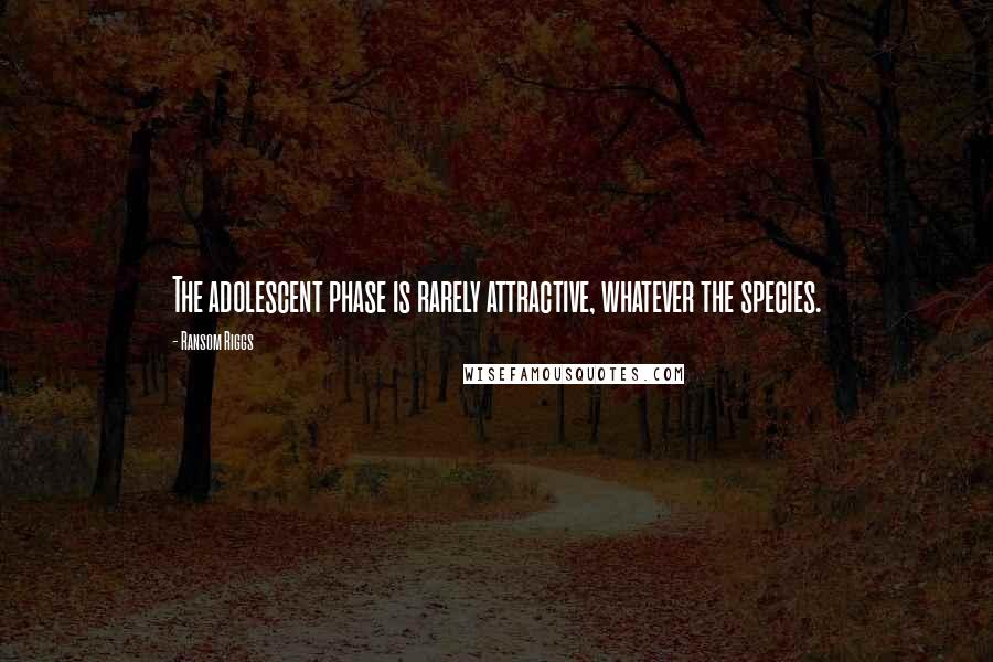 Ransom Riggs Quotes: The adolescent phase is rarely attractive, whatever the species.