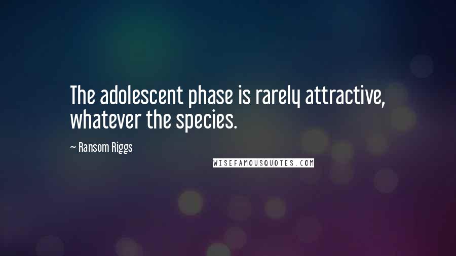Ransom Riggs Quotes: The adolescent phase is rarely attractive, whatever the species.