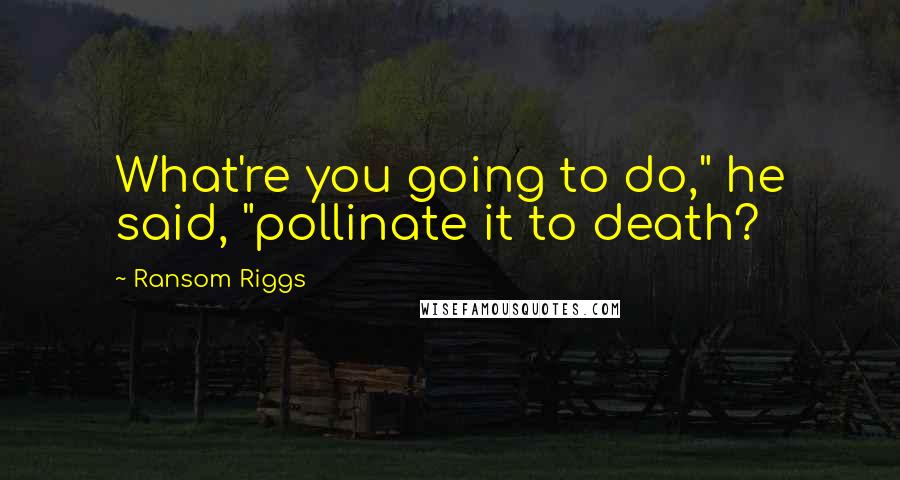 Ransom Riggs Quotes: What're you going to do," he said, "pollinate it to death?