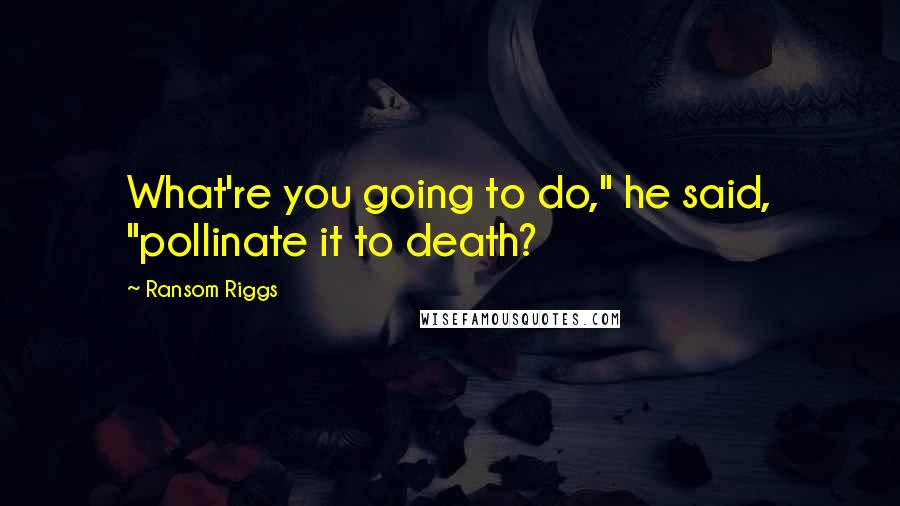 Ransom Riggs Quotes: What're you going to do," he said, "pollinate it to death?