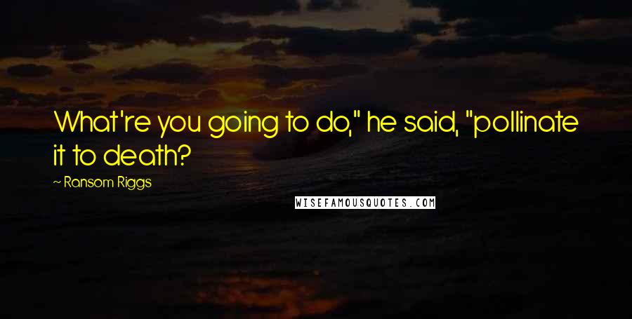 Ransom Riggs Quotes: What're you going to do," he said, "pollinate it to death?