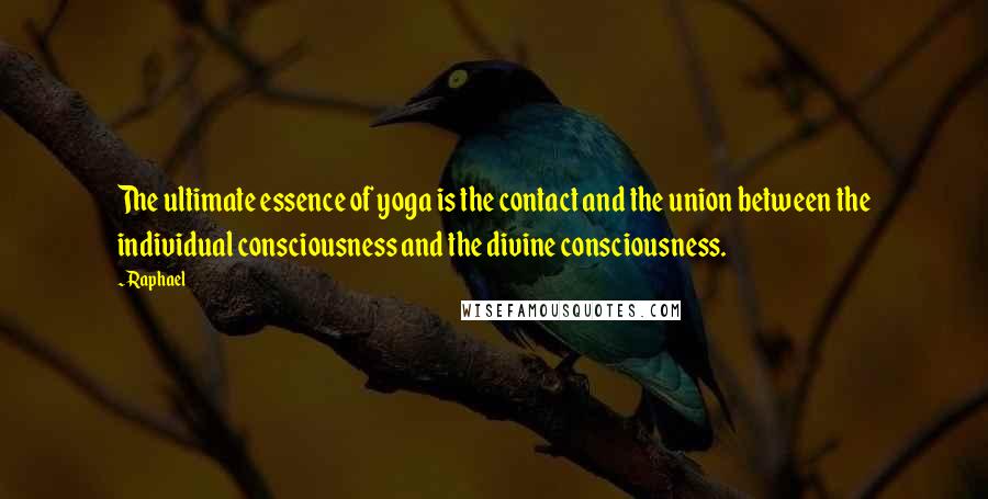 Raphael Quotes: The ultimate essence of yoga is the contact and the union between the individual consciousness and the divine consciousness.