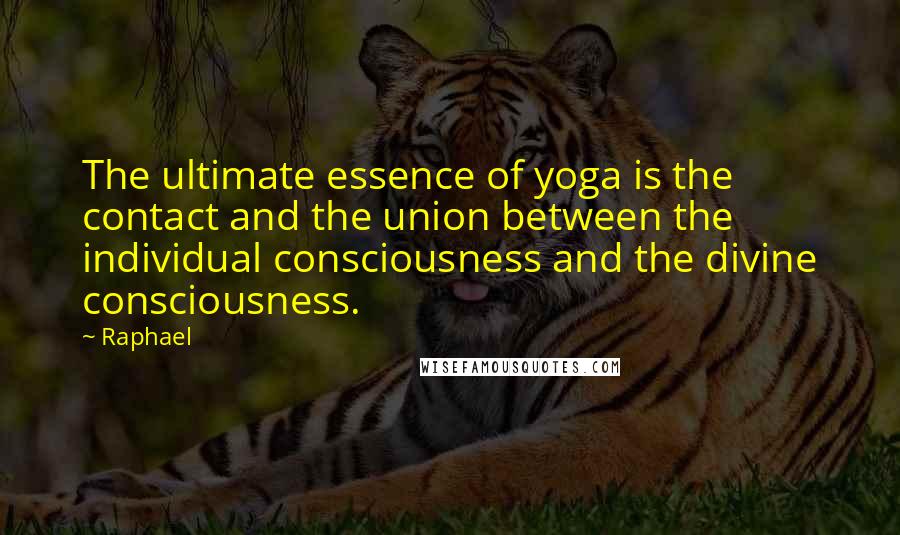 Raphael Quotes: The ultimate essence of yoga is the contact and the union between the individual consciousness and the divine consciousness.