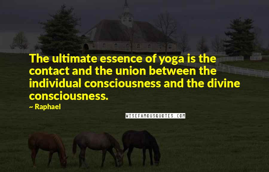 Raphael Quotes: The ultimate essence of yoga is the contact and the union between the individual consciousness and the divine consciousness.