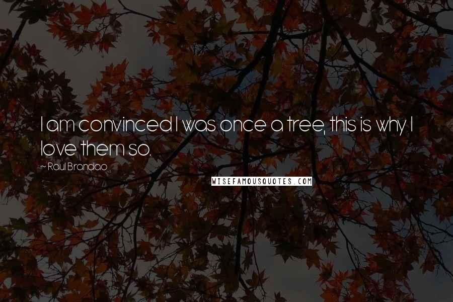 Raul Brandao Quotes: I am convinced I was once a tree, this is why I love them so.