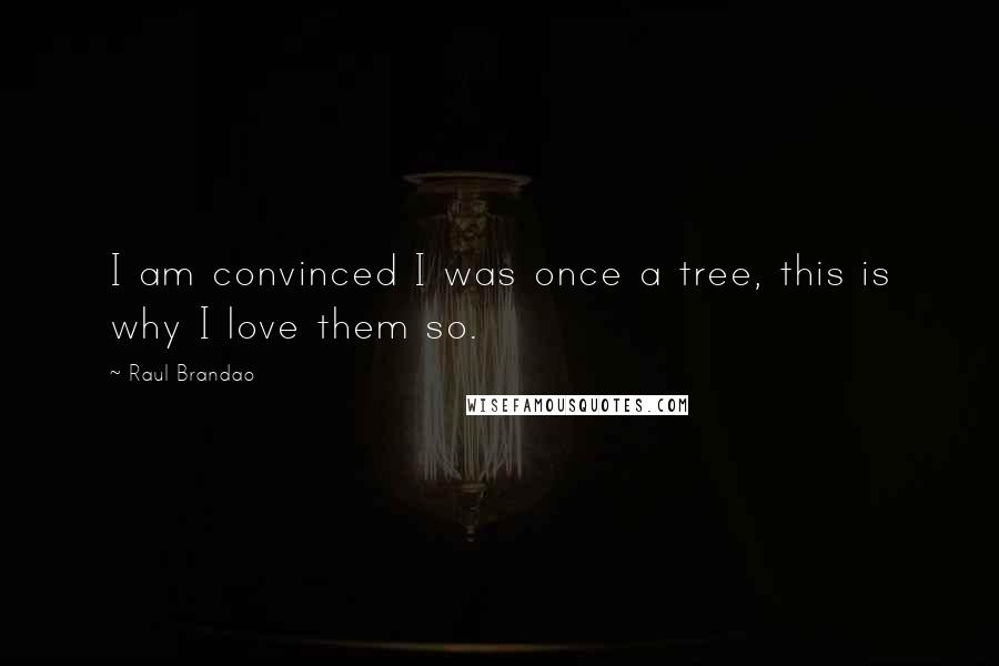 Raul Brandao Quotes: I am convinced I was once a tree, this is why I love them so.