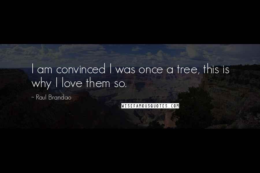 Raul Brandao Quotes: I am convinced I was once a tree, this is why I love them so.