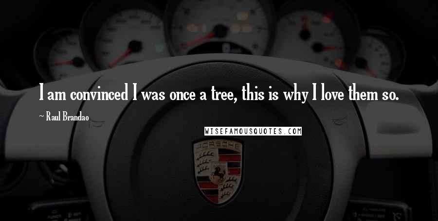 Raul Brandao Quotes: I am convinced I was once a tree, this is why I love them so.