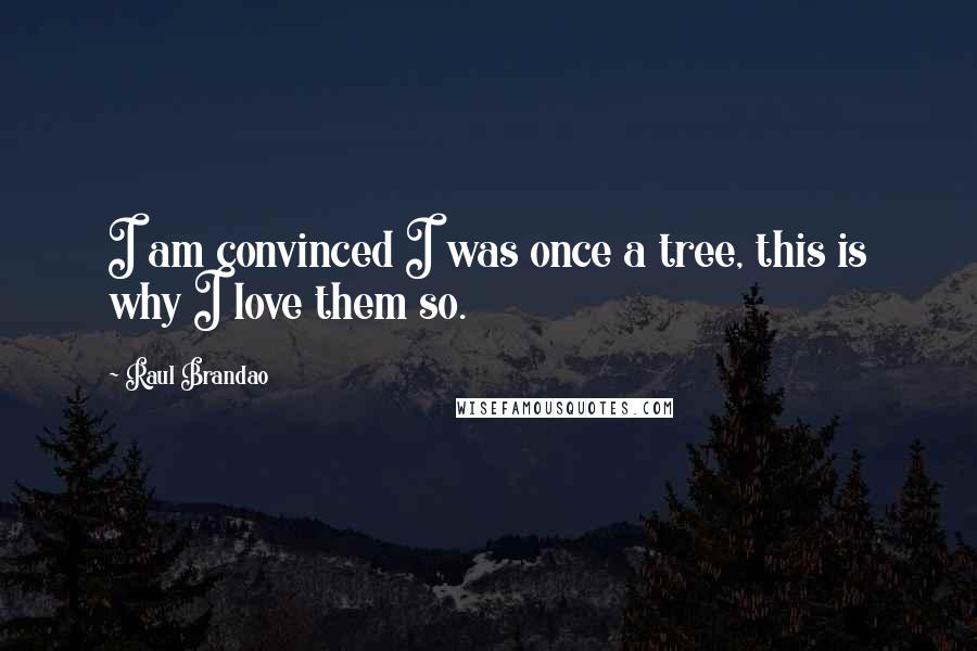 Raul Brandao Quotes: I am convinced I was once a tree, this is why I love them so.