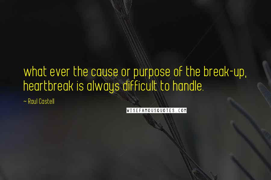 Raul Castell Quotes: what ever the cause or purpose of the break-up, heartbreak is always difficult to handle.