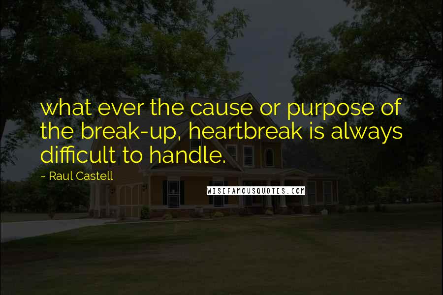 Raul Castell Quotes: what ever the cause or purpose of the break-up, heartbreak is always difficult to handle.