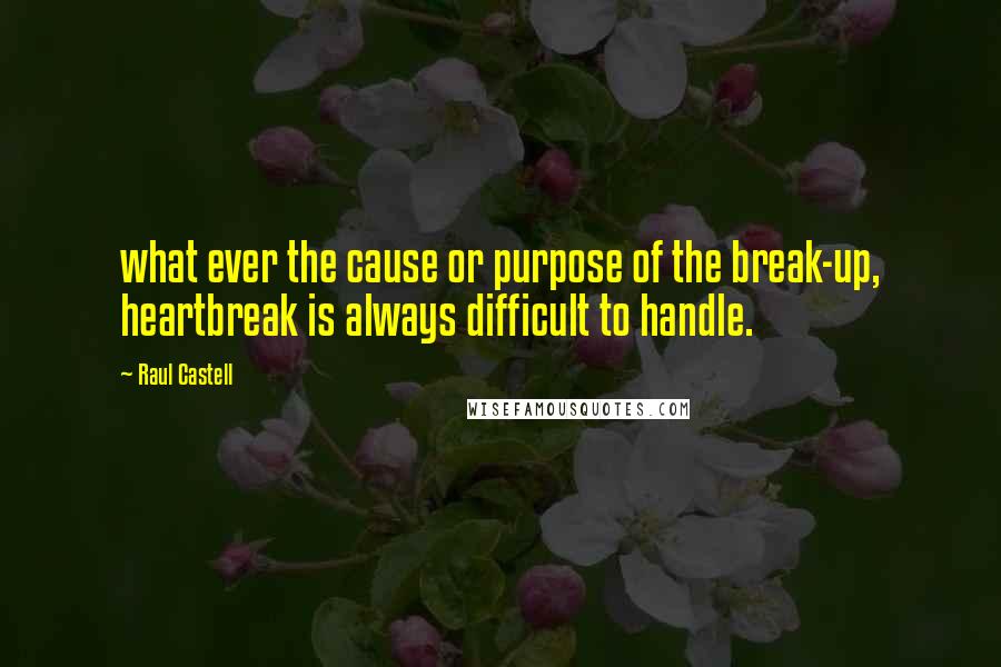 Raul Castell Quotes: what ever the cause or purpose of the break-up, heartbreak is always difficult to handle.