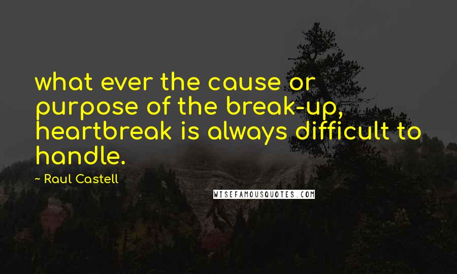 Raul Castell Quotes: what ever the cause or purpose of the break-up, heartbreak is always difficult to handle.