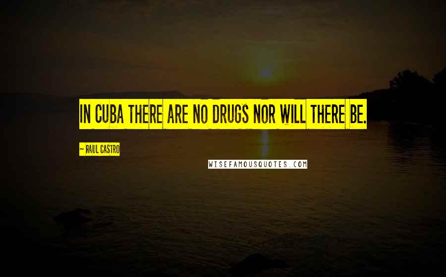 Raul Castro Quotes: In Cuba there are no drugs nor will there be.