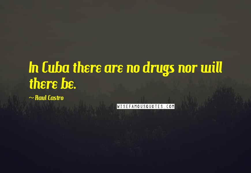 Raul Castro Quotes: In Cuba there are no drugs nor will there be.