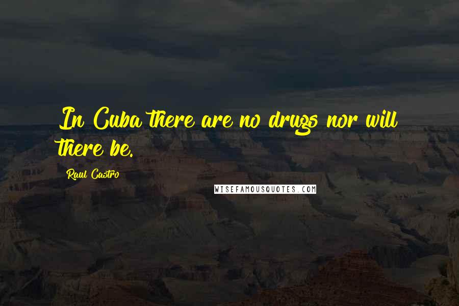 Raul Castro Quotes: In Cuba there are no drugs nor will there be.