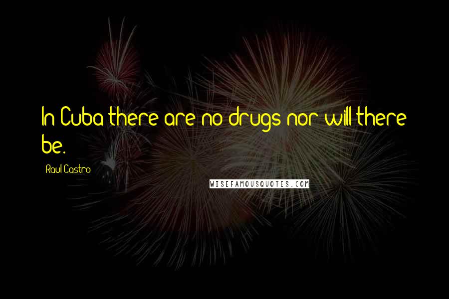 Raul Castro Quotes: In Cuba there are no drugs nor will there be.