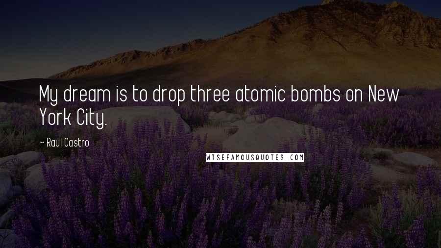 Raul Castro Quotes: My dream is to drop three atomic bombs on New York City.