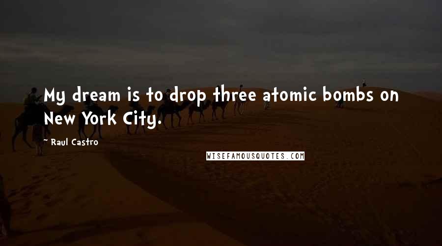 Raul Castro Quotes: My dream is to drop three atomic bombs on New York City.