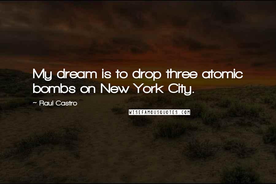 Raul Castro Quotes: My dream is to drop three atomic bombs on New York City.