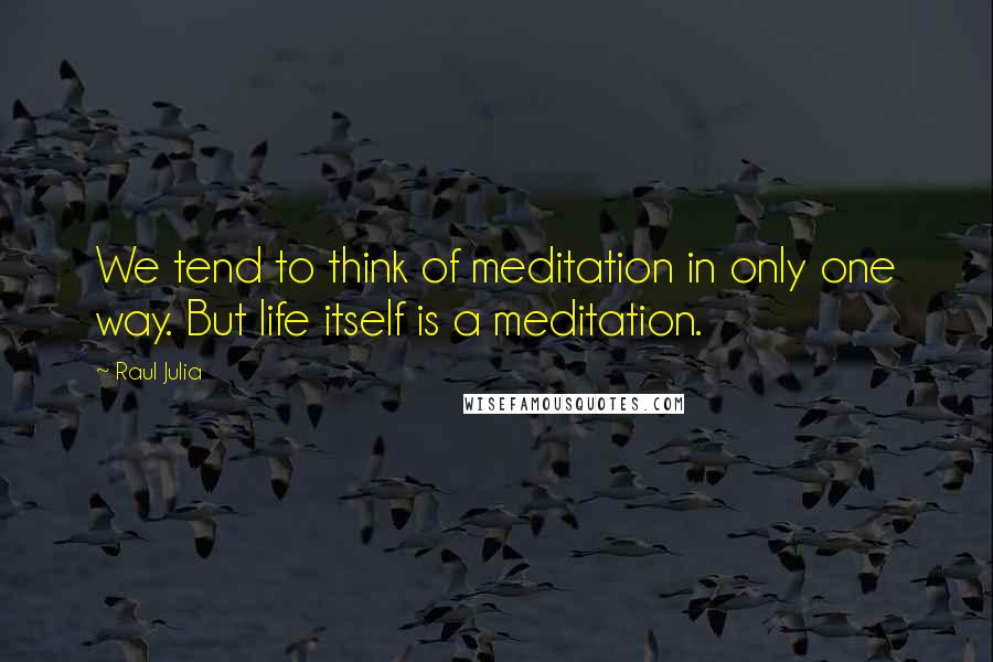 Raul Julia Quotes: We tend to think of meditation in only one way. But life itself is a meditation.