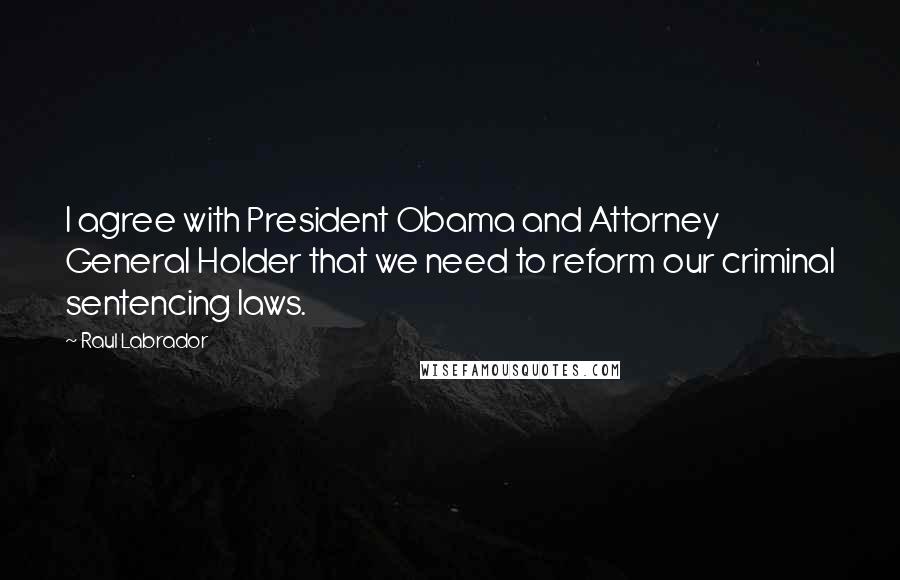 Raul Labrador Quotes: I agree with President Obama and Attorney General Holder that we need to reform our criminal sentencing laws.